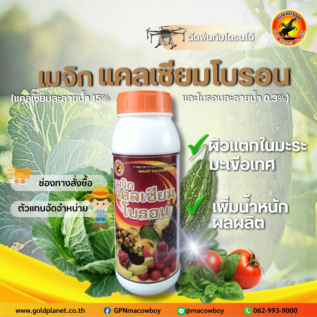Gold Planet - ตราม้าคาวบอย Facebook ad