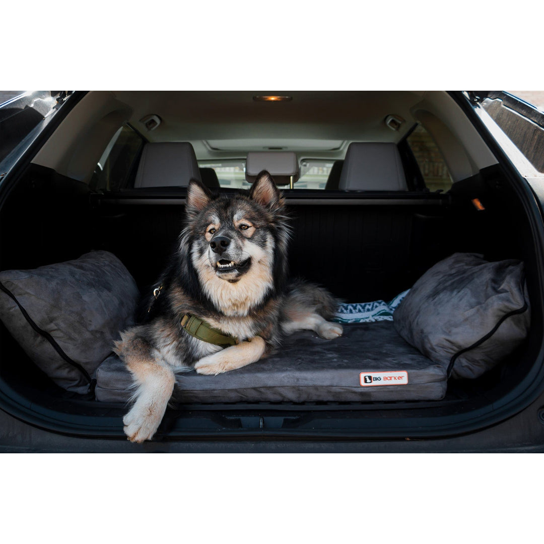 Barker Dog Beds Facebook ad