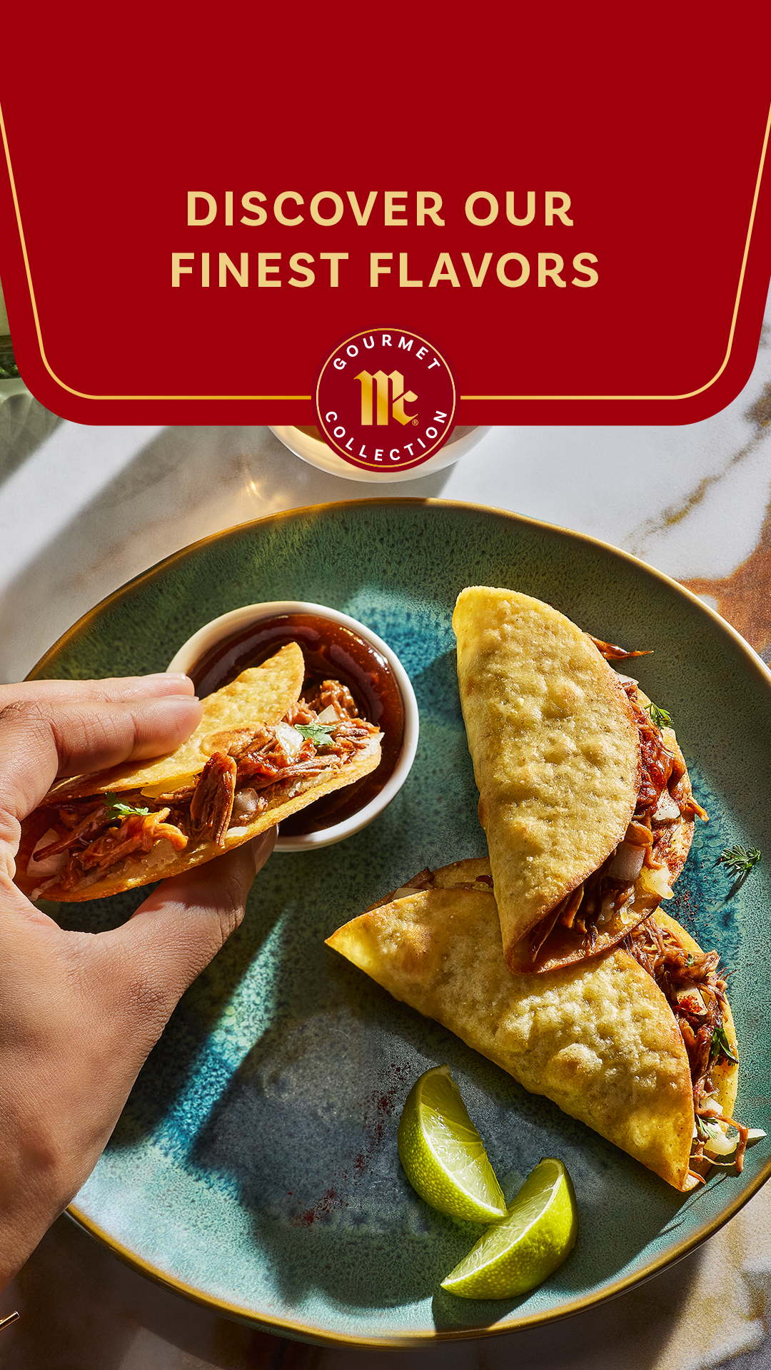 McCormick Gourmet Facebook ad from Feb 28, 2026
