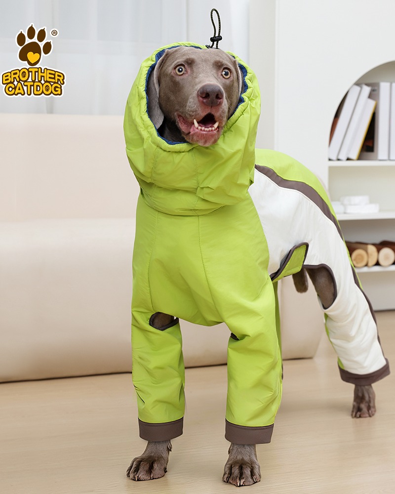 Brother Cat Dog Facebook ad: Custom Horse & Dog Equipment Manufacturer | OEM Gear…