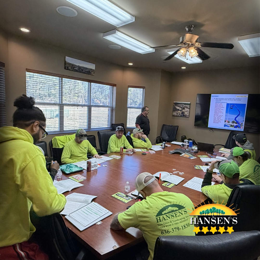 Hansen's Tree Service - St. Louis & Lake of the Ozarks Facebook ad