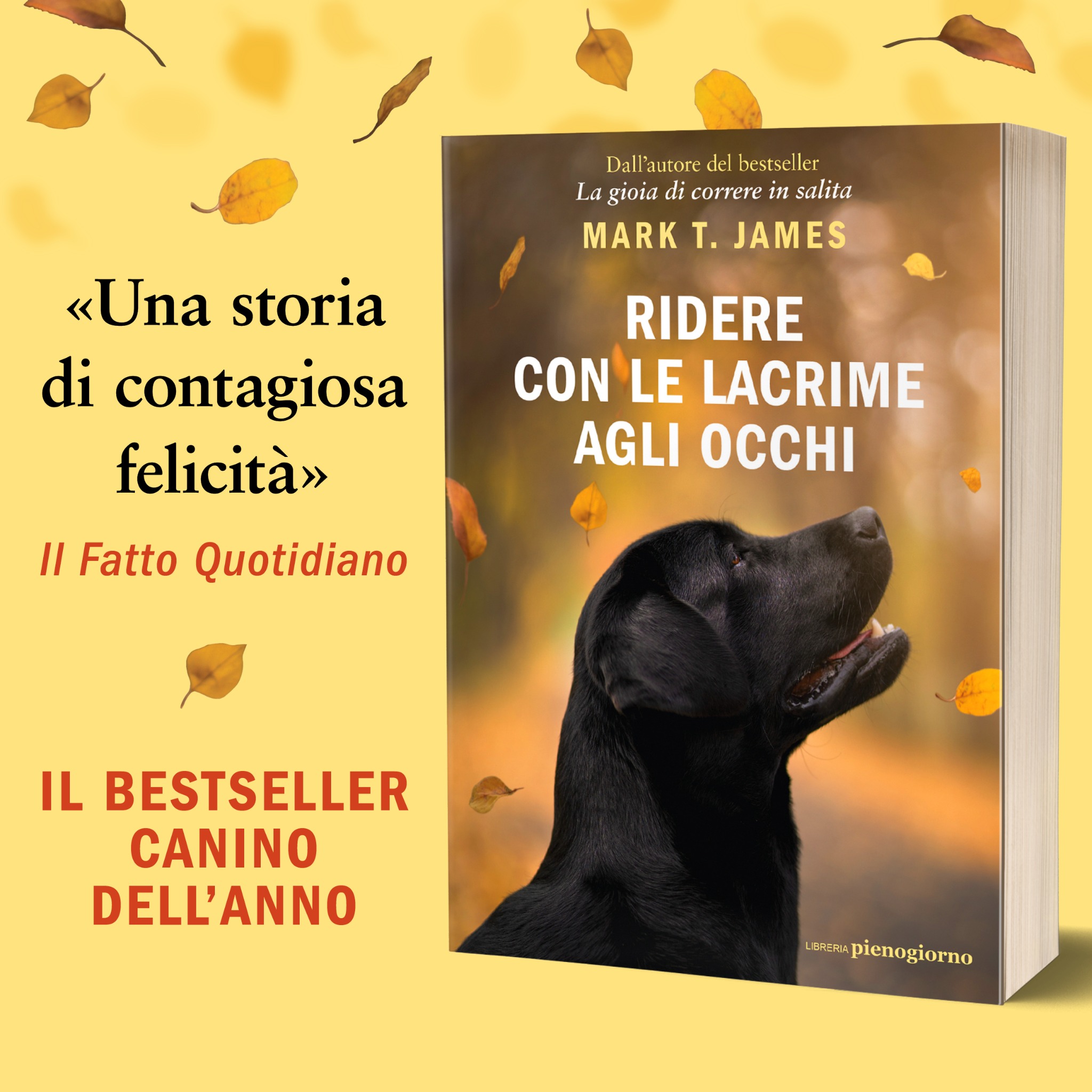 Ridere con le lacrime agli occhi - Il libro Facebook ad