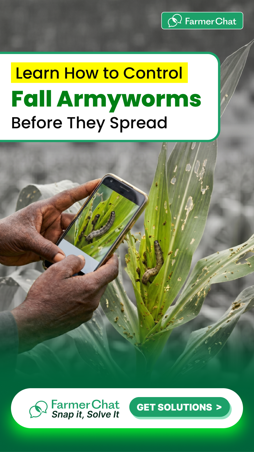 Digital Green Facebook ad from May 26, 2026