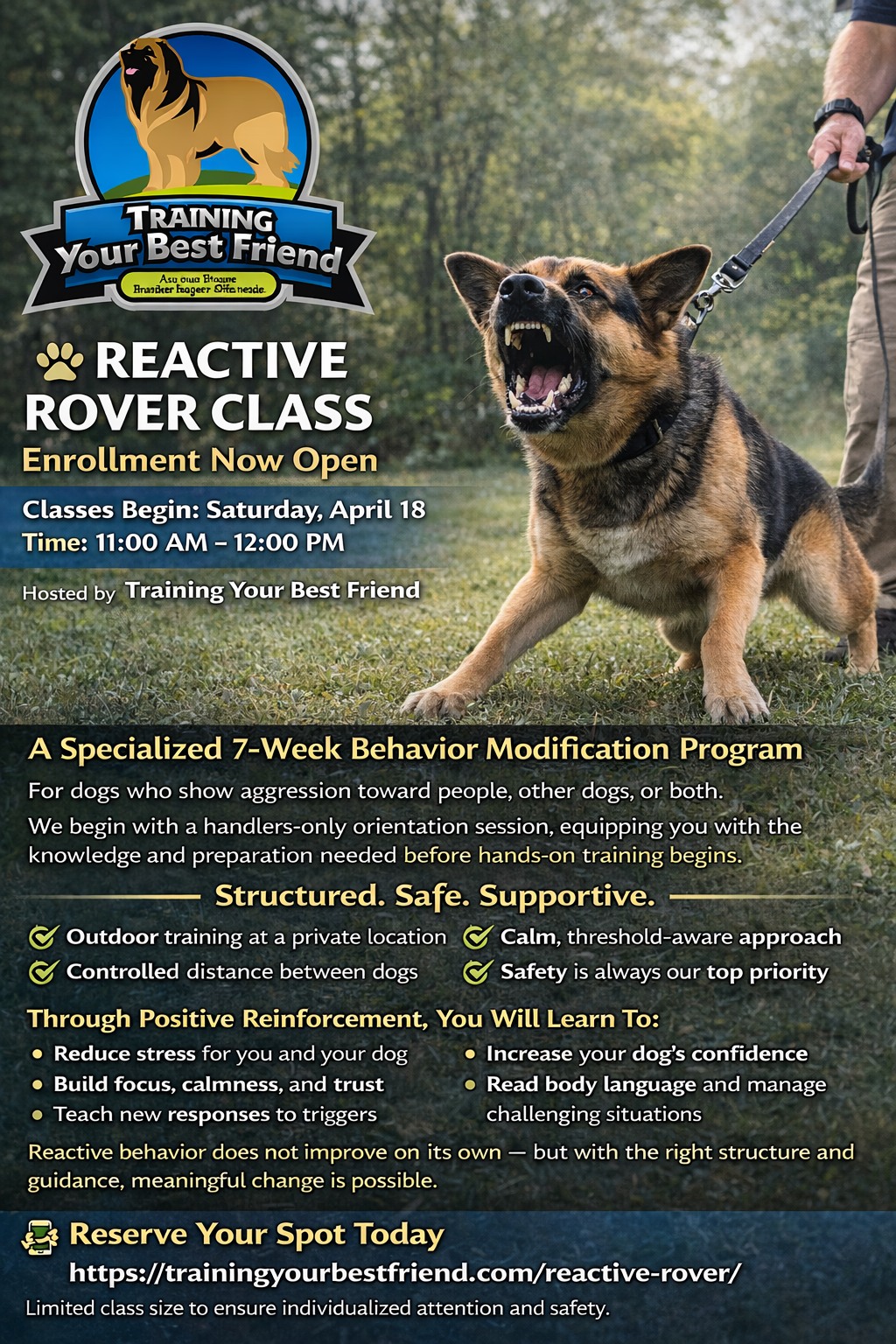 Training Your Best Friend LLC Facebook ad