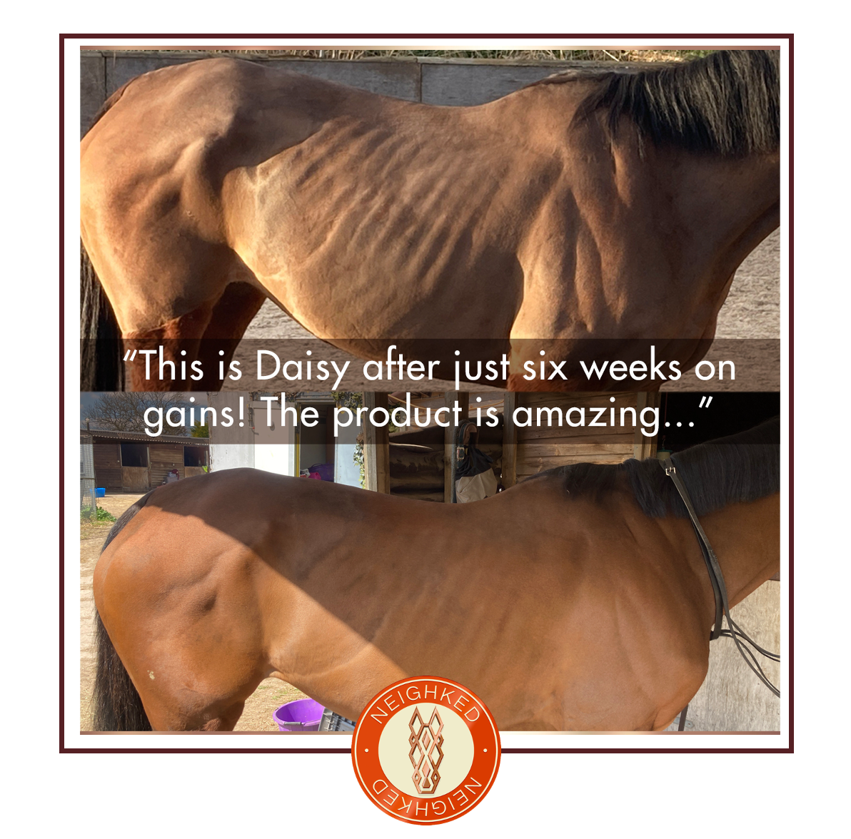 Neighked Facebook ad