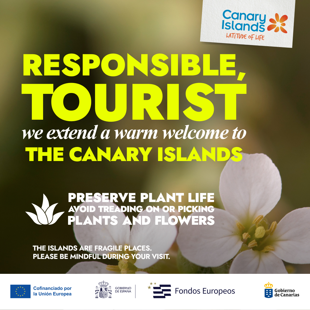 Canary Islands Facebook ad