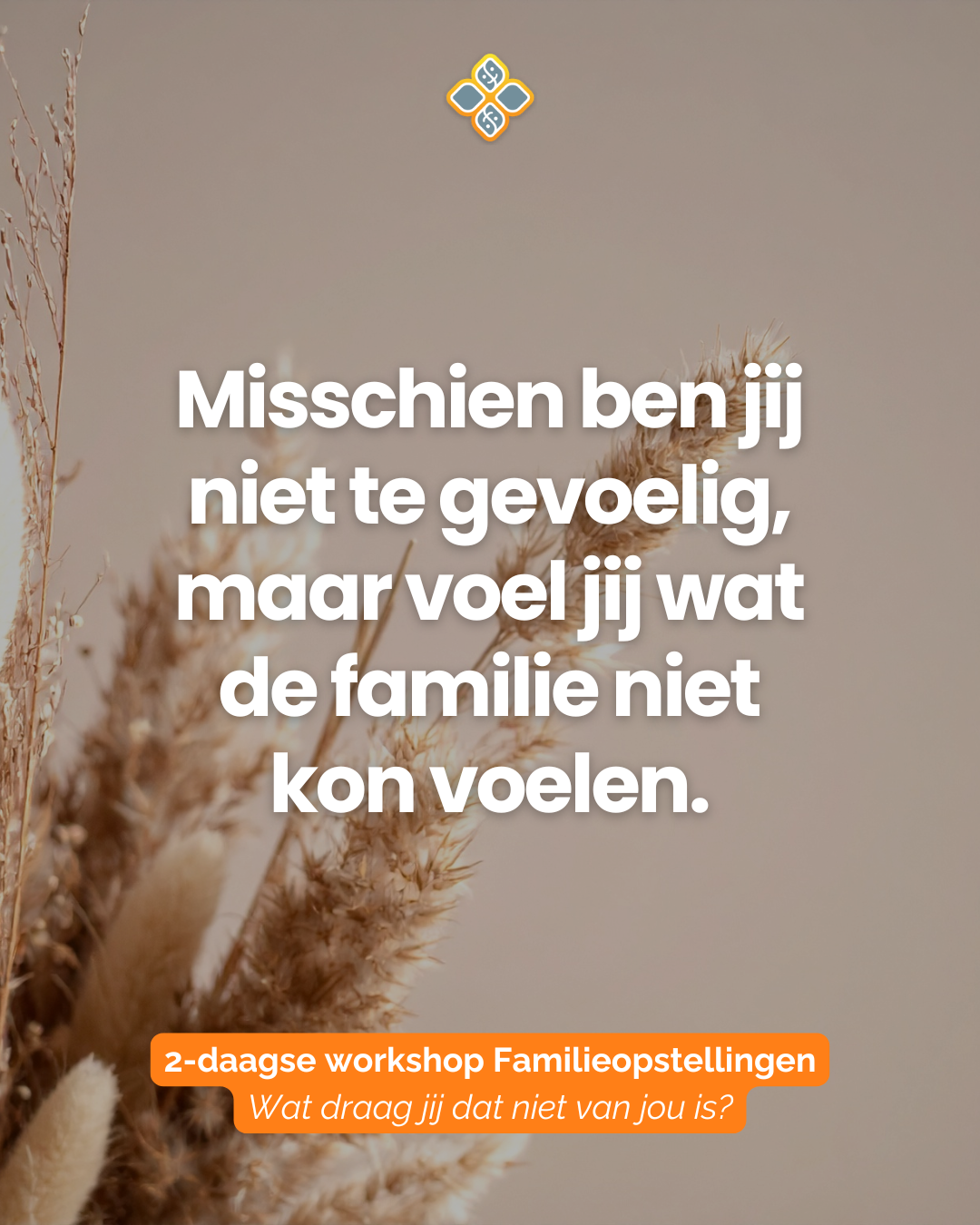 Hylke Bonnema Facebook ad