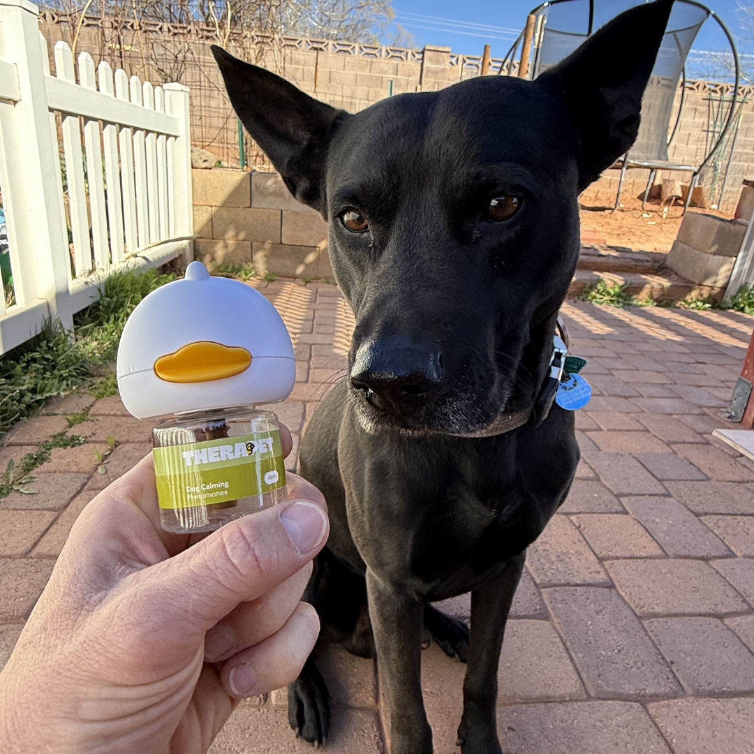 Vet approved products Facebook ad