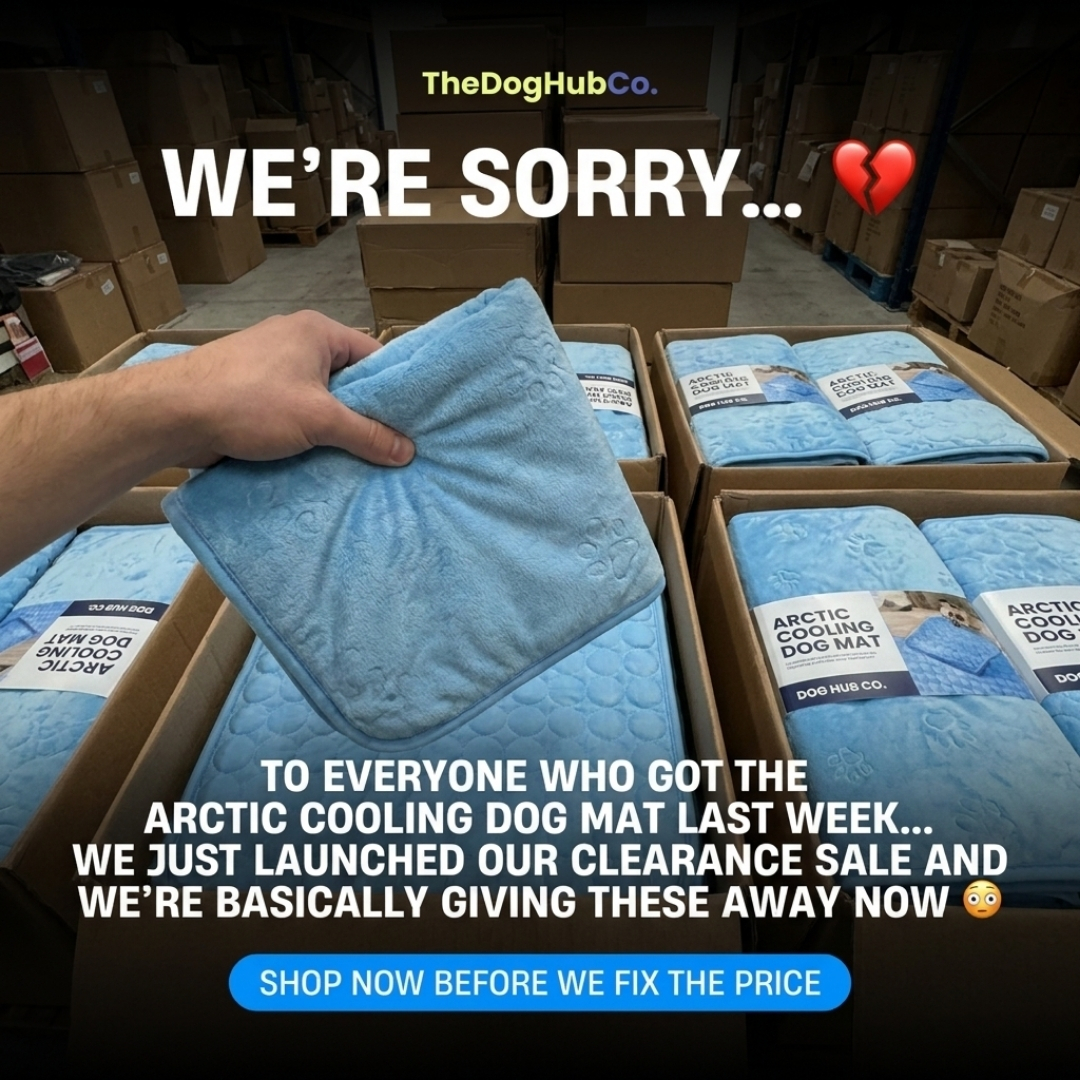 Dog Hub Co. Facebook ad