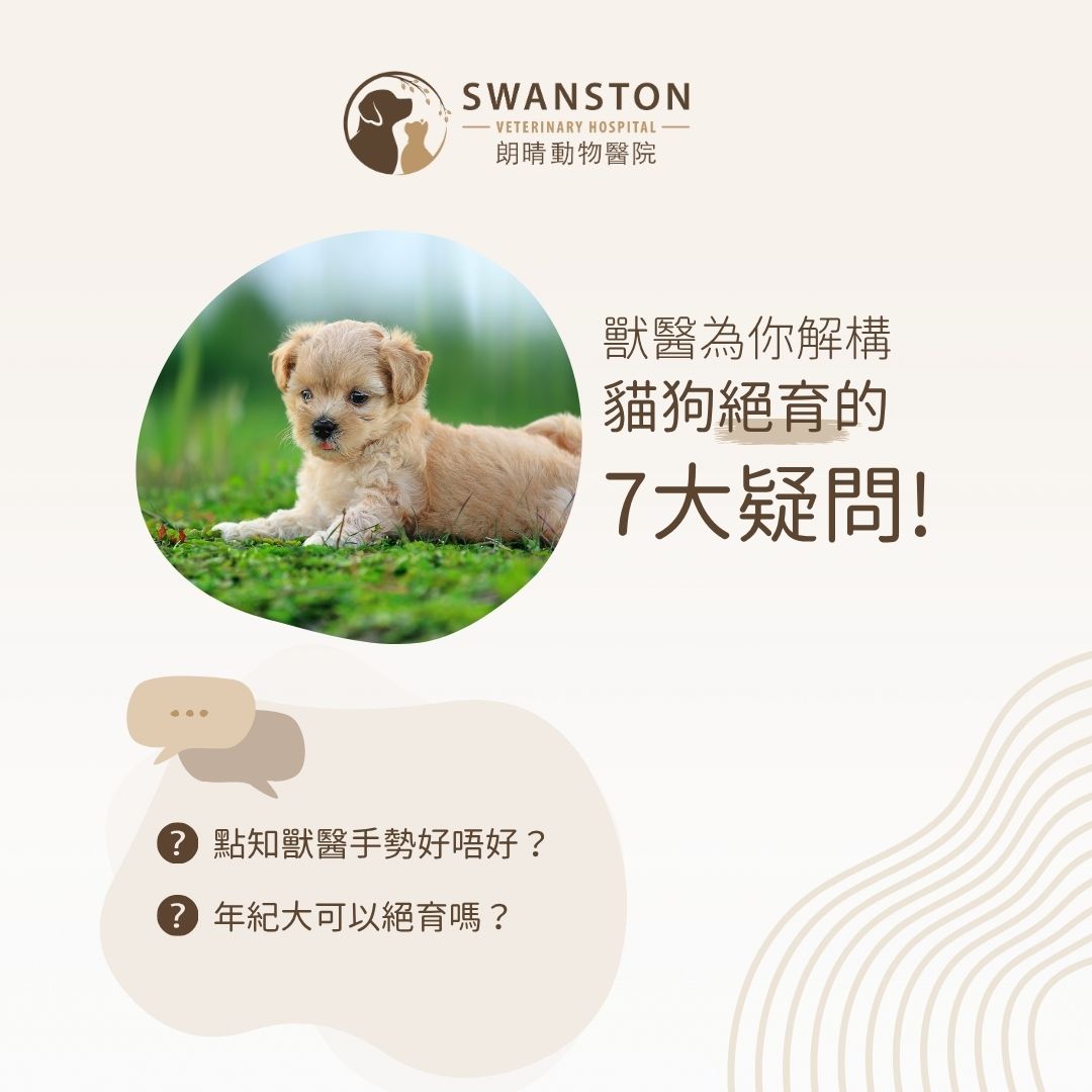 Swanston Veterinary Hospital 朗晴動物醫院 Facebook ad from May 29, 2026
