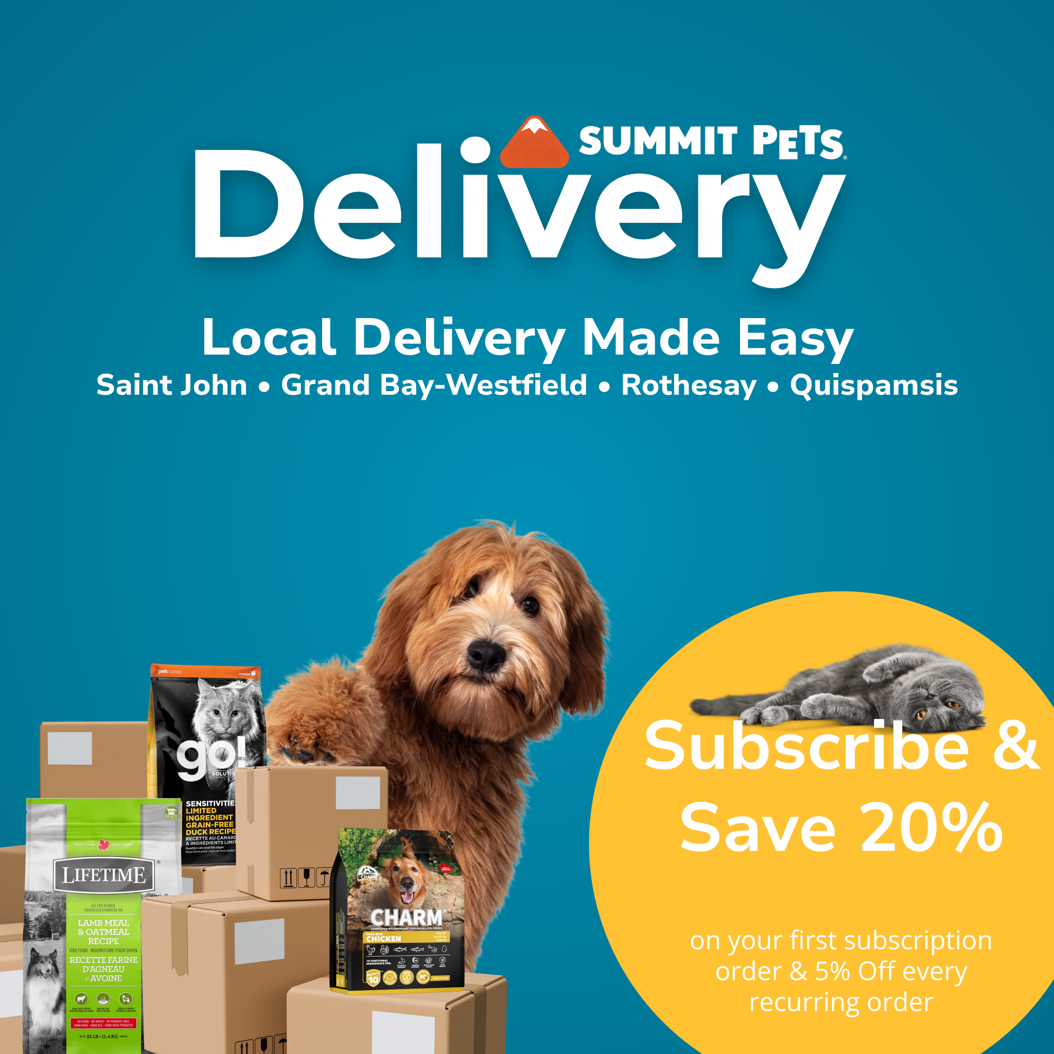 Summit Pets Facebook ad: Chat with us