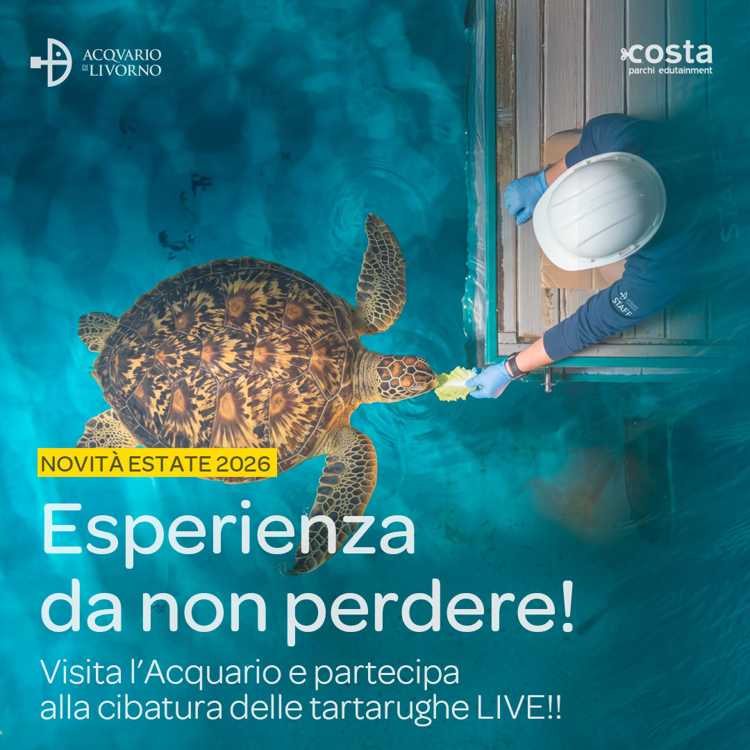 Acquario di Livorno Facebook ad from Jul 30, 2026