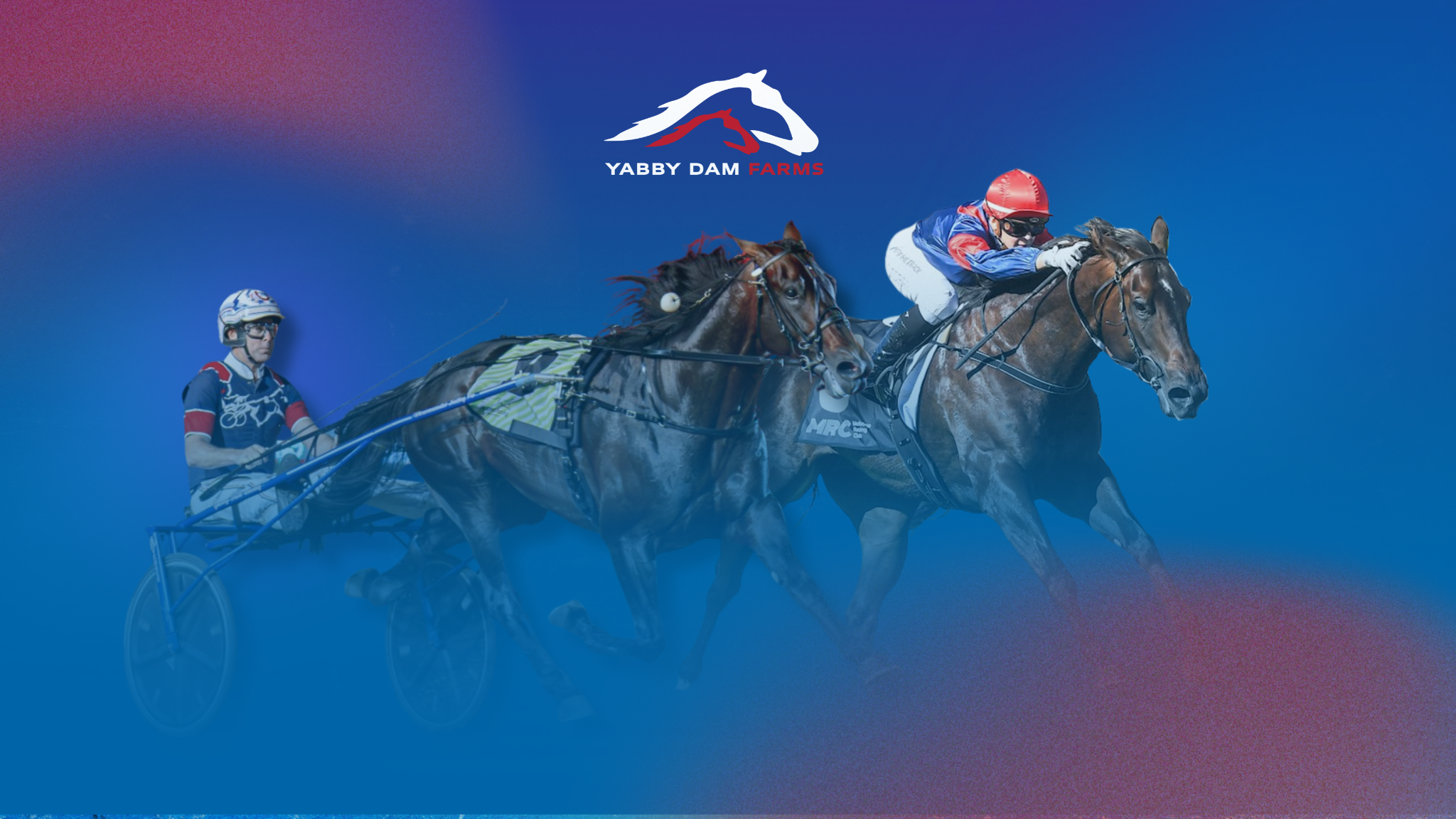 Yabby Dam Farms Facebook ad from Sep 21, 2025