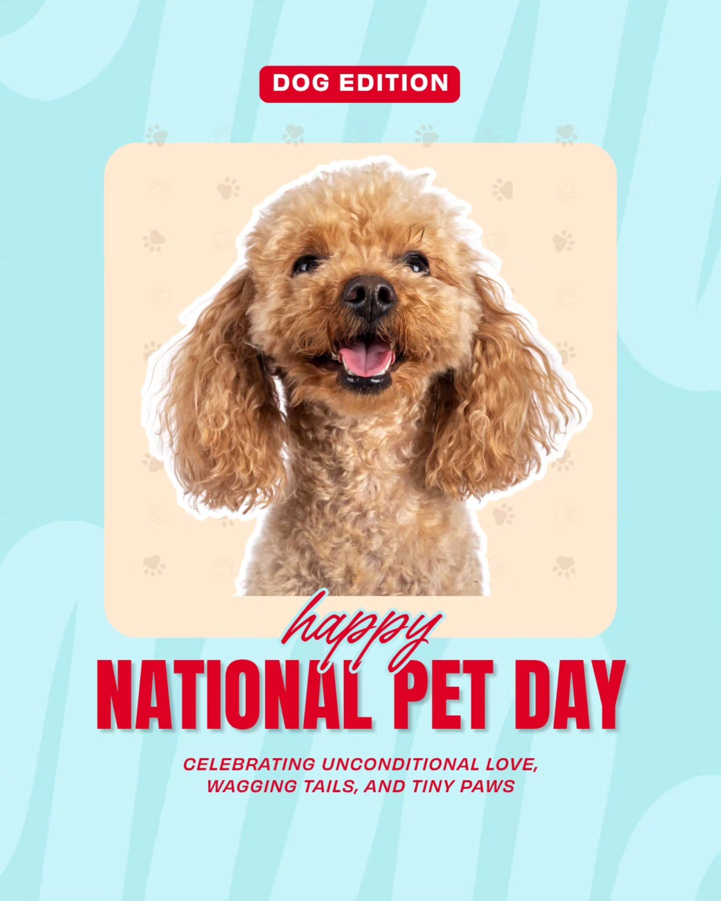 The Petshop Facebook ad: With National Pet Day coming up it’s all…
