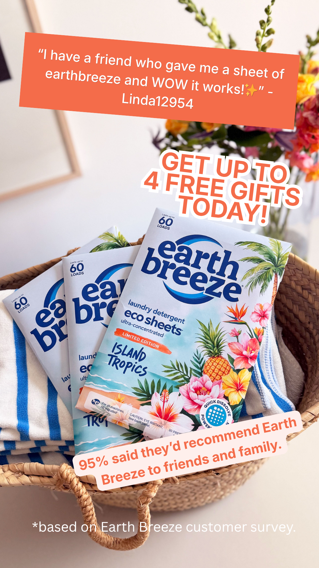 Earth Breeze Facebook ad