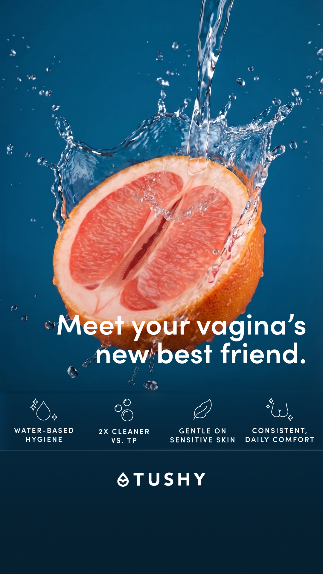 TUSHY Facebook ad