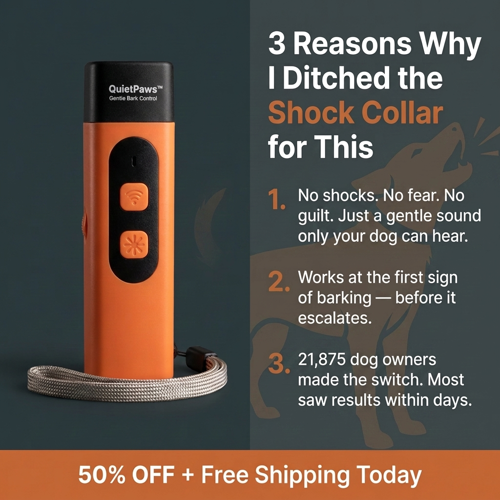 Hunters Doggy Daycare Facebook ad