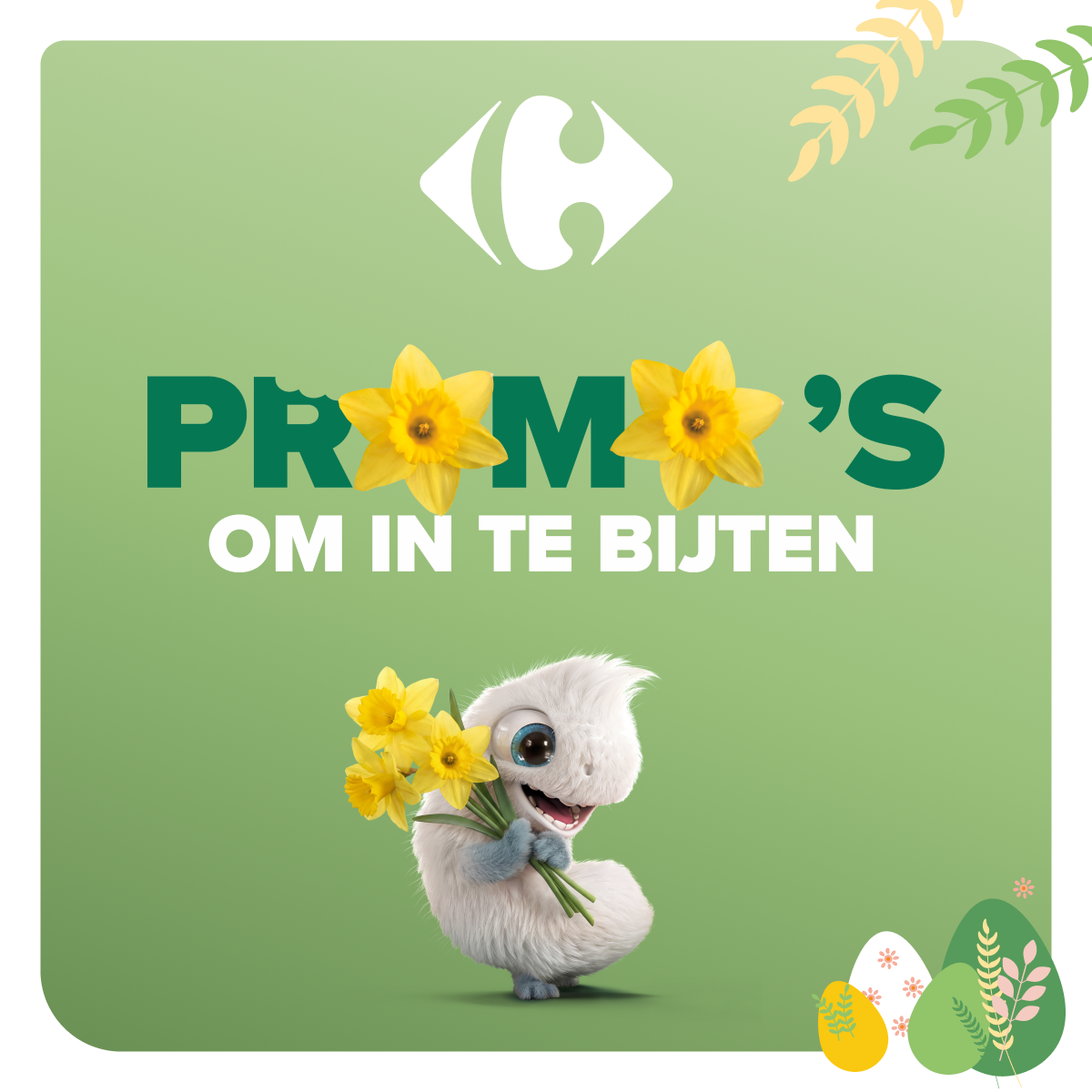 Carrefour Facebook ad: Pluk onze promo’s om in te bijten: Pick…