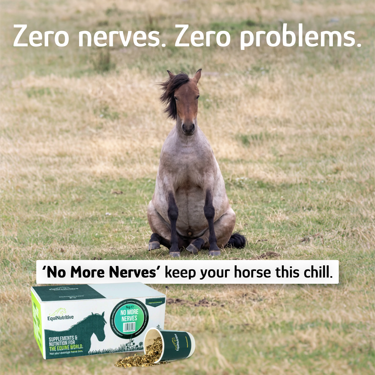 EquiNutritive Facebook ad