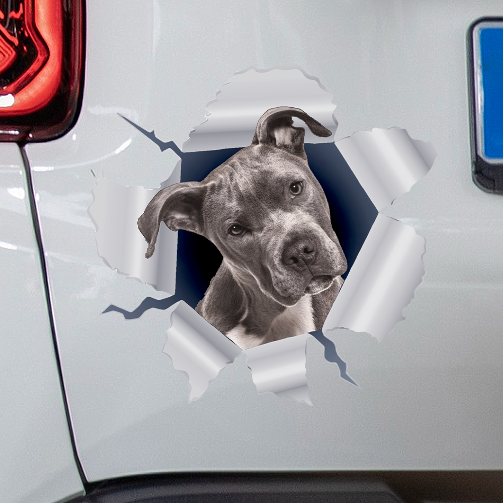 Pet Printed Facebook ad: Idea de regalo para el Día del Padre