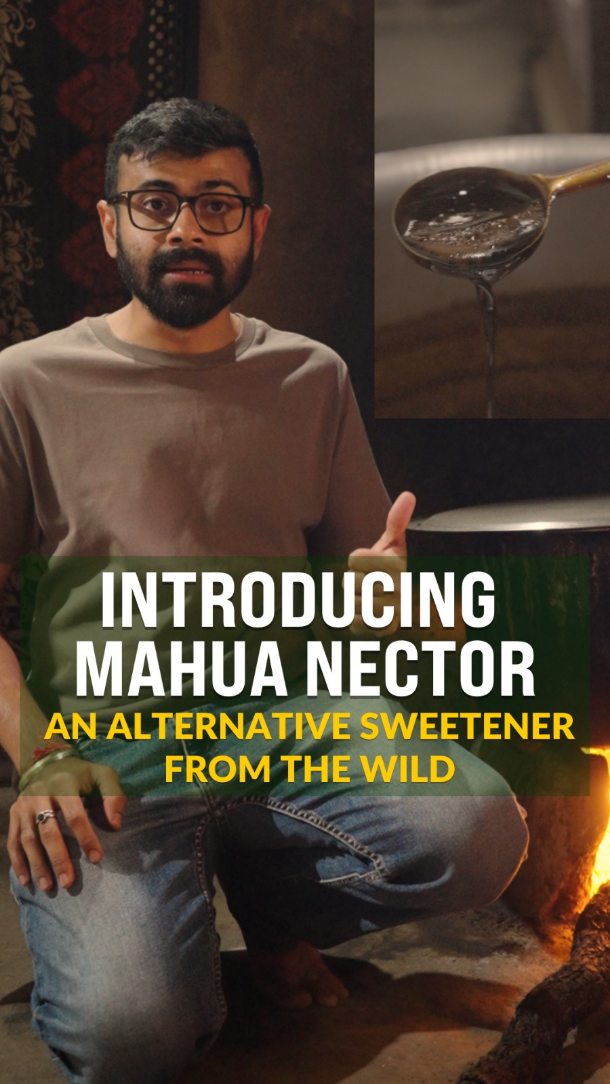 gaurangmotta Facebook ad: Say hello to Mahua Nectar, a wild, plant-based…