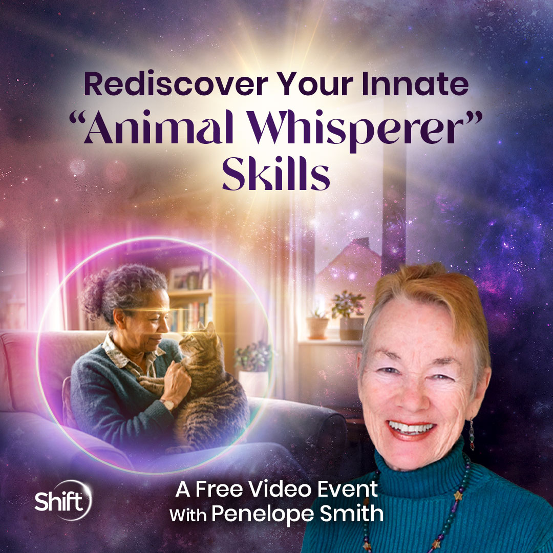 The Shift Network Facebook ad