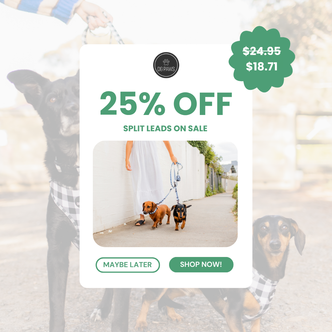 DG PAWS Facebook ad