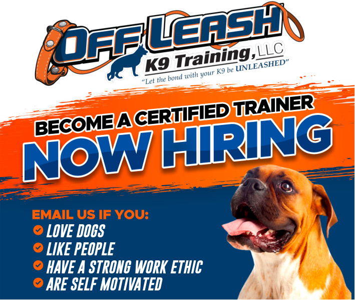 Off Leash K9 Training: Northern Delaware Facebook ad: Now Hiring! OLK9 Delaware