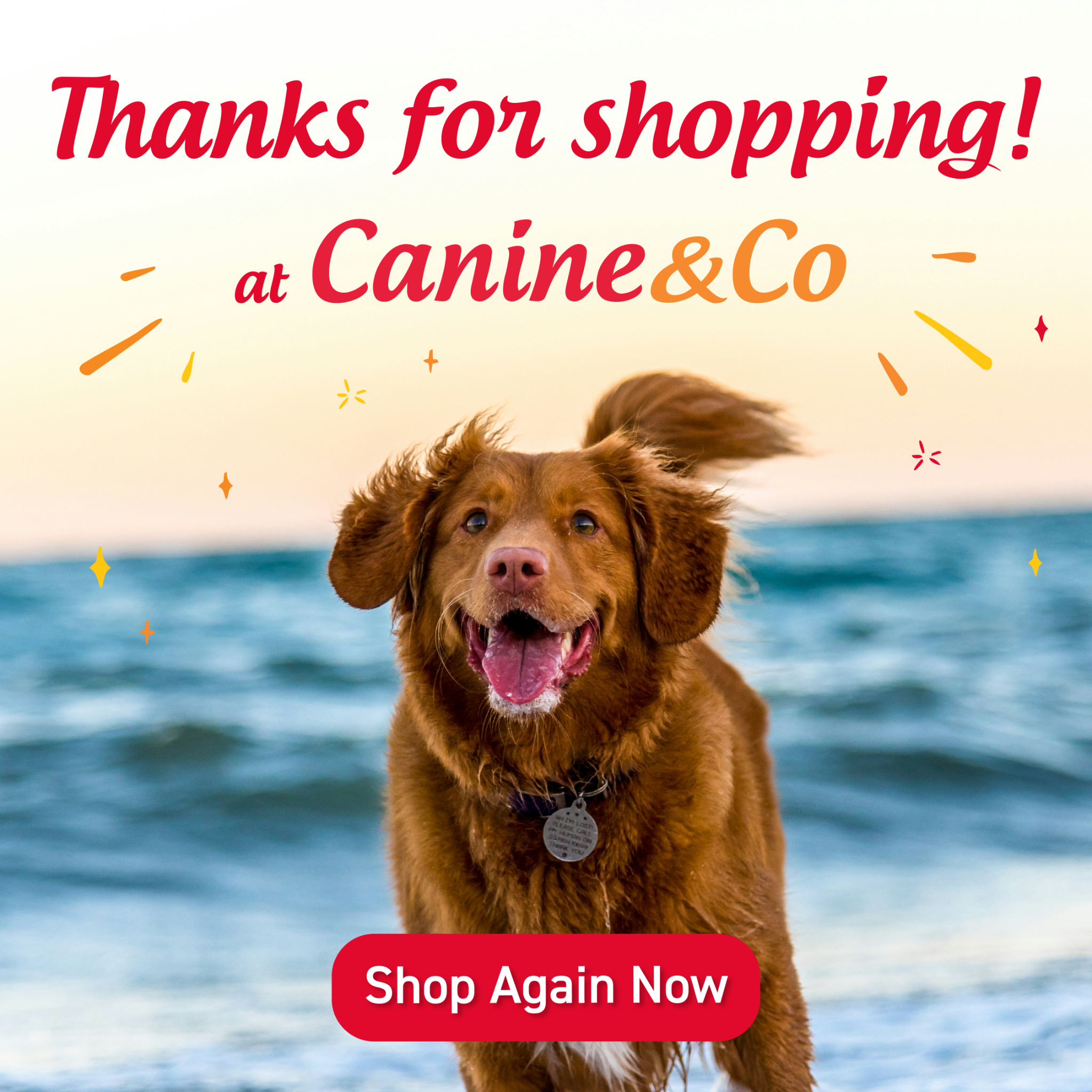 Canine & Co Pet Store Facebook ad: Pets Deserve the Best
