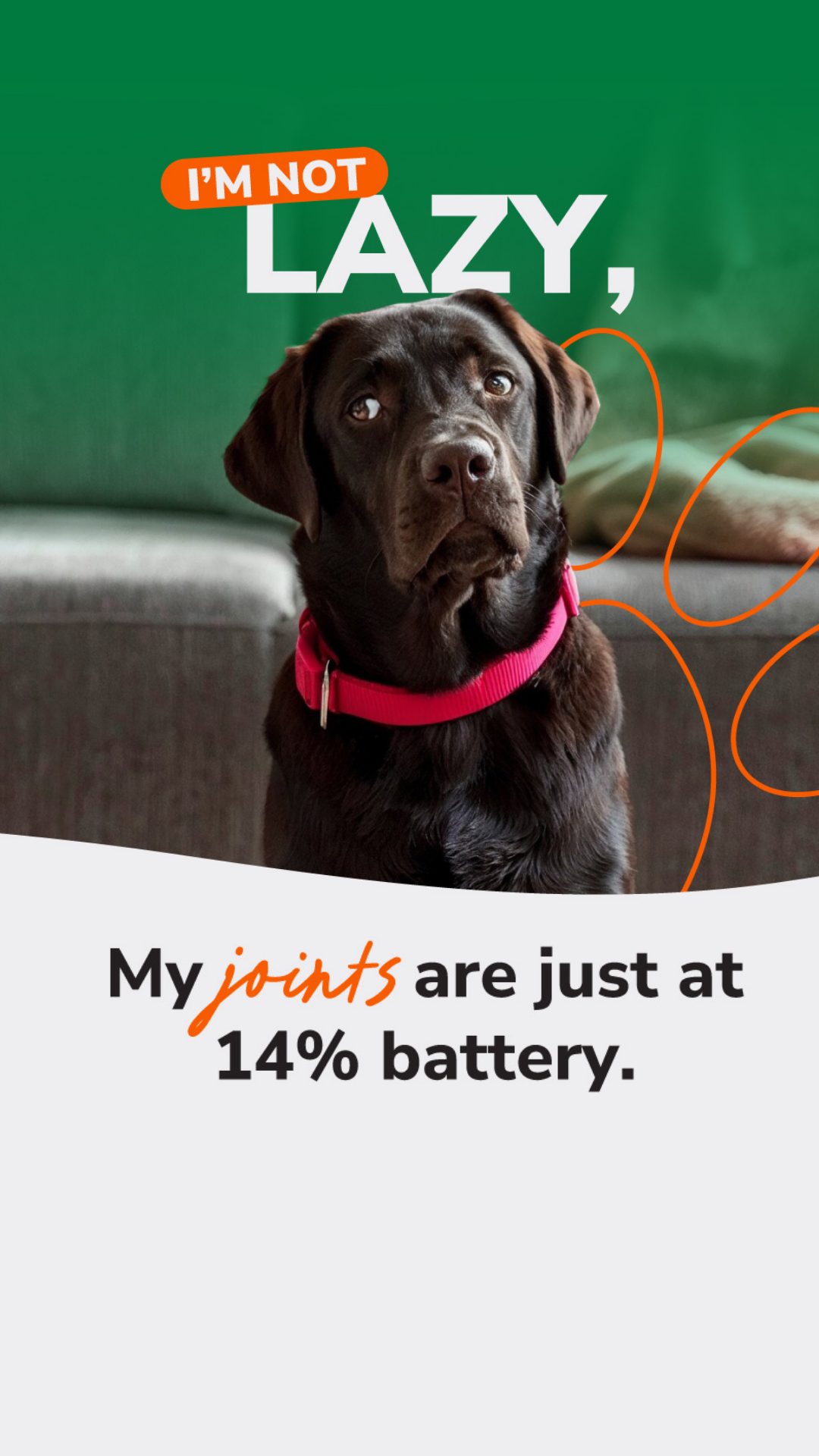 Arthritis Pet Facebook ad from Jun 17, 2026