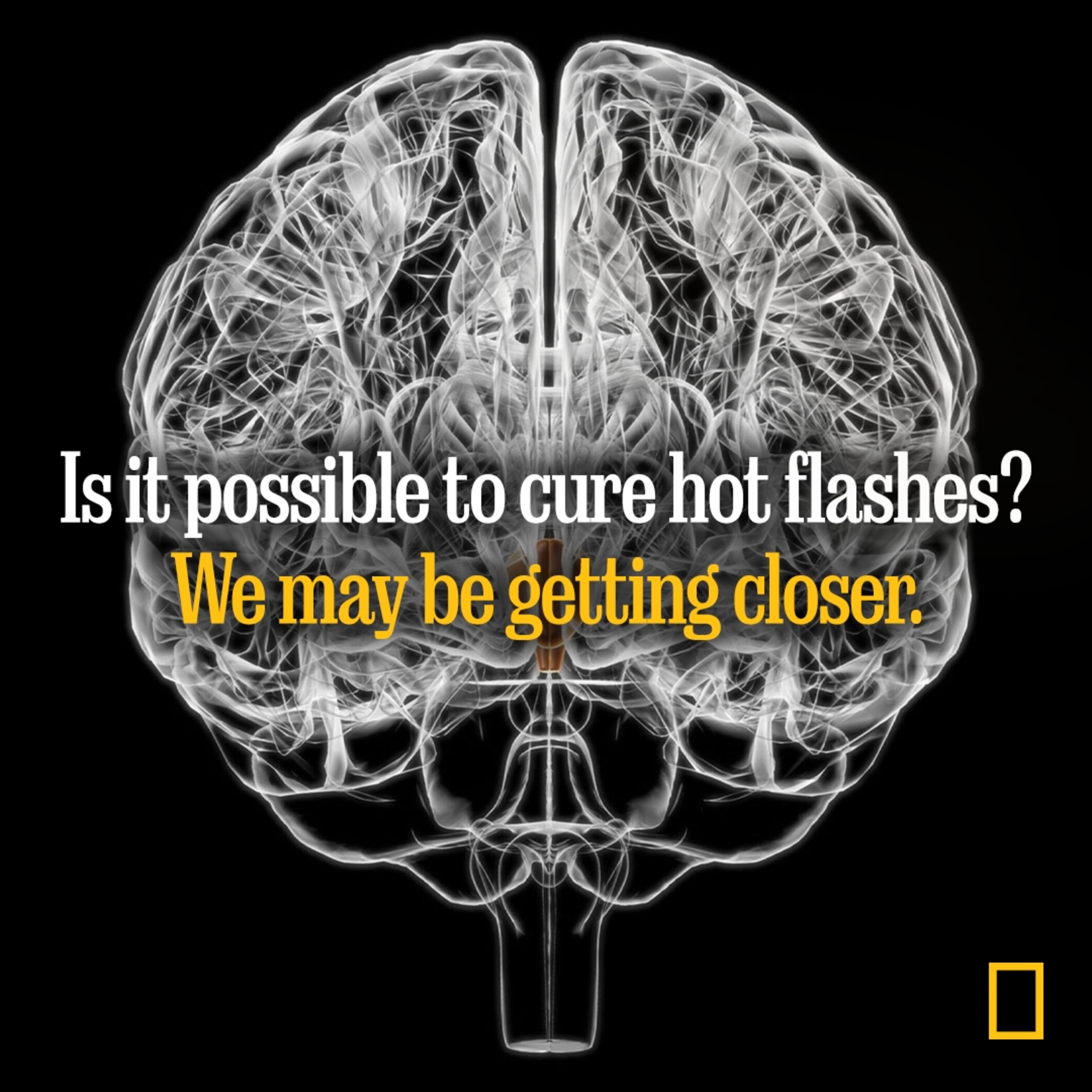 National Geographic Facebook ad