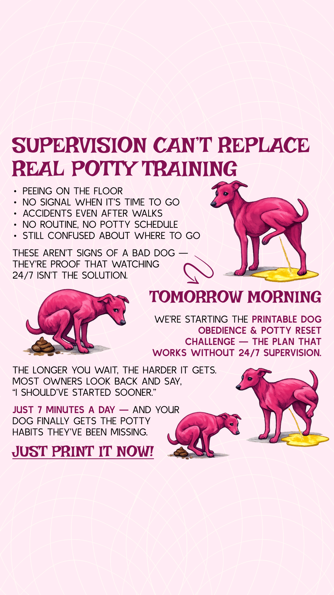 PawChamp Facebook ad