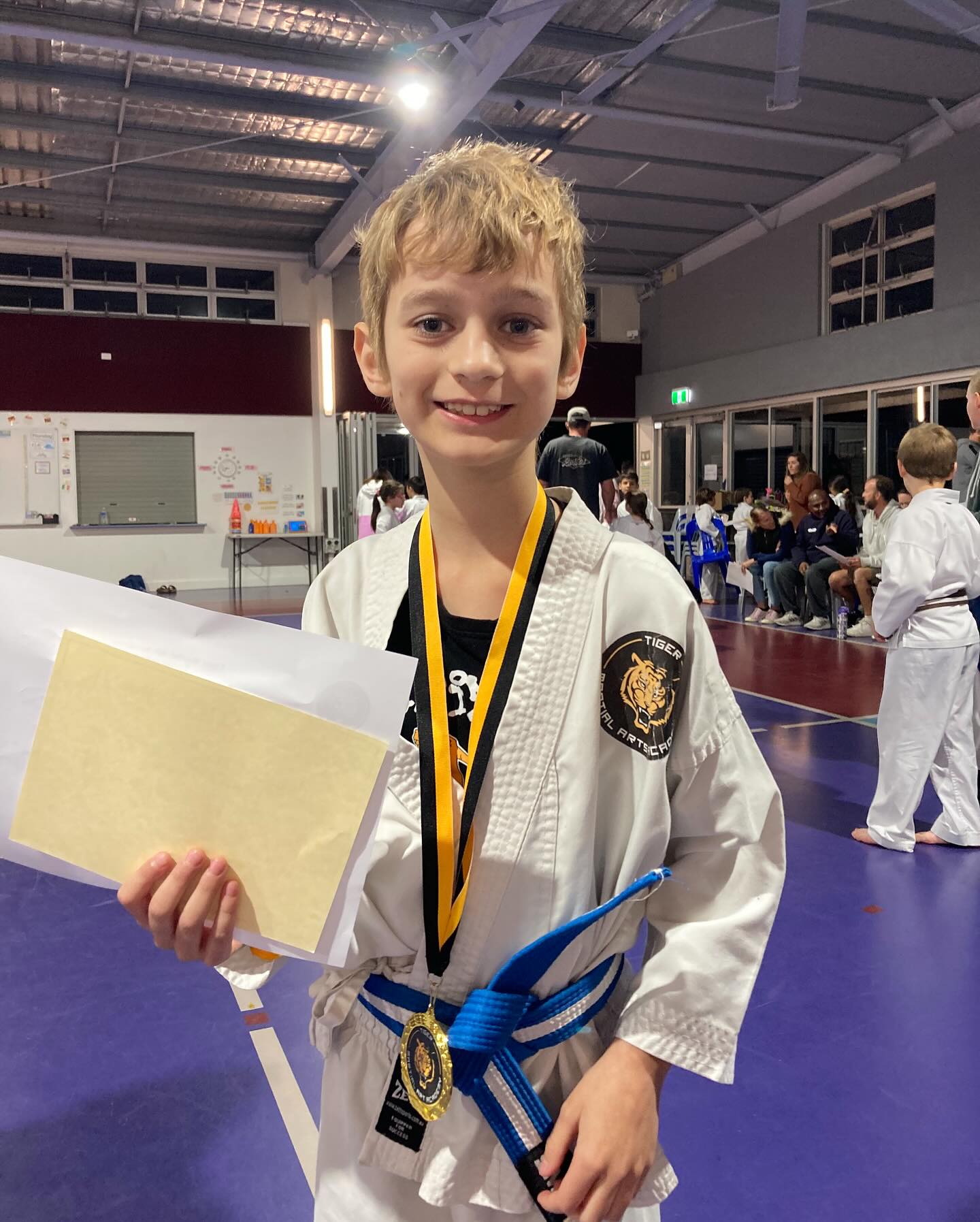 Tiger Martial Art Academy Facebook ad