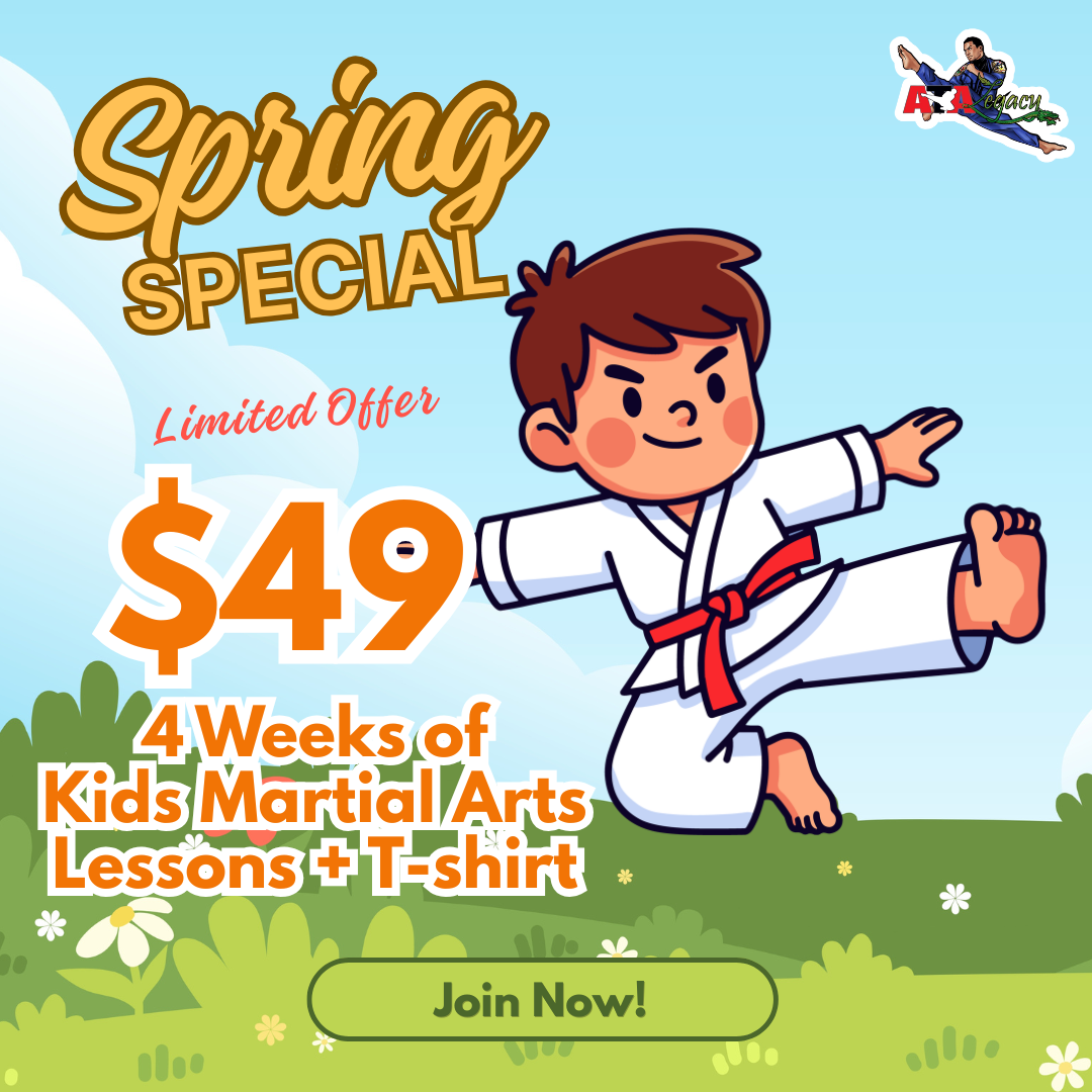 ATA Legacy Martial Arts Hillsborough, NJ Facebook ad: Try Kids Martial Arts for $49!