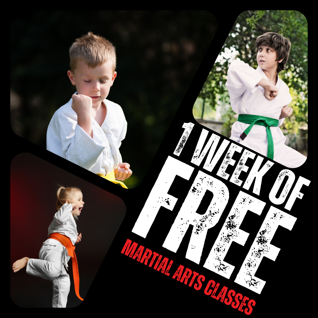 Chimera-X Stunts & Productions Studio Facebook ad: 1 WEEK OF FREE MARTIAL ARTS CLASSES!