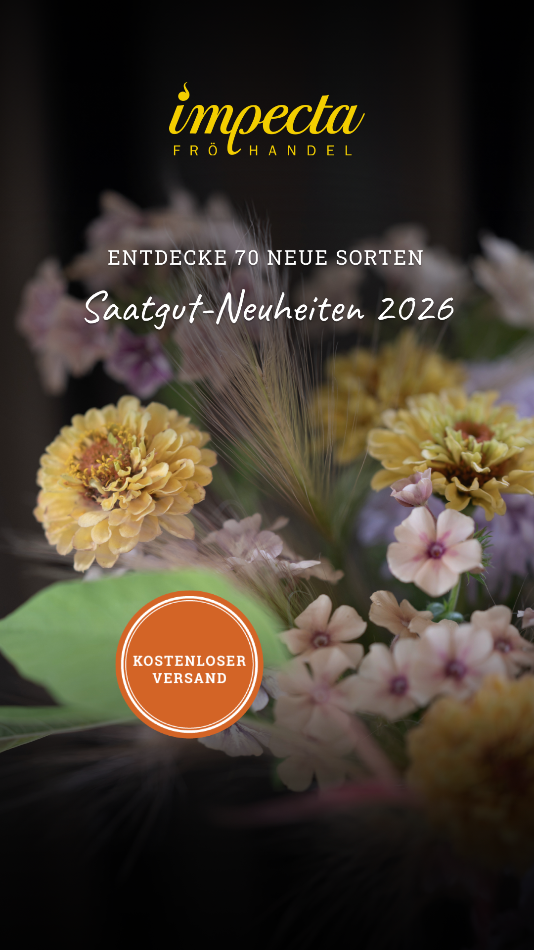 Impecta Fröhandel Europe Facebook ad from Jan 2, 2026