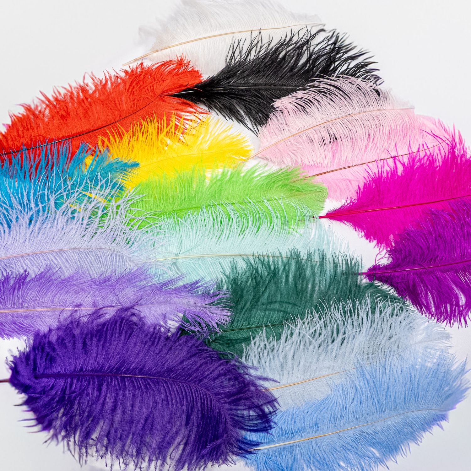 On Stage Essentials Facebook ad: Add some drama with feather boas, plumes and…