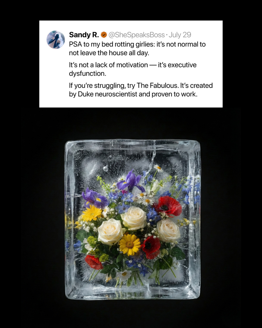 The Fabulous Facebook ad