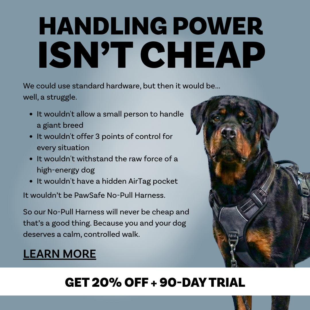 PawSafe Facebook ad