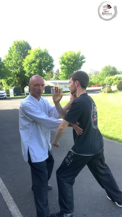 Wing Chun dans le Cantal Facebook ad: Comment placer un double coup de paume (po pai jeug) sur…
