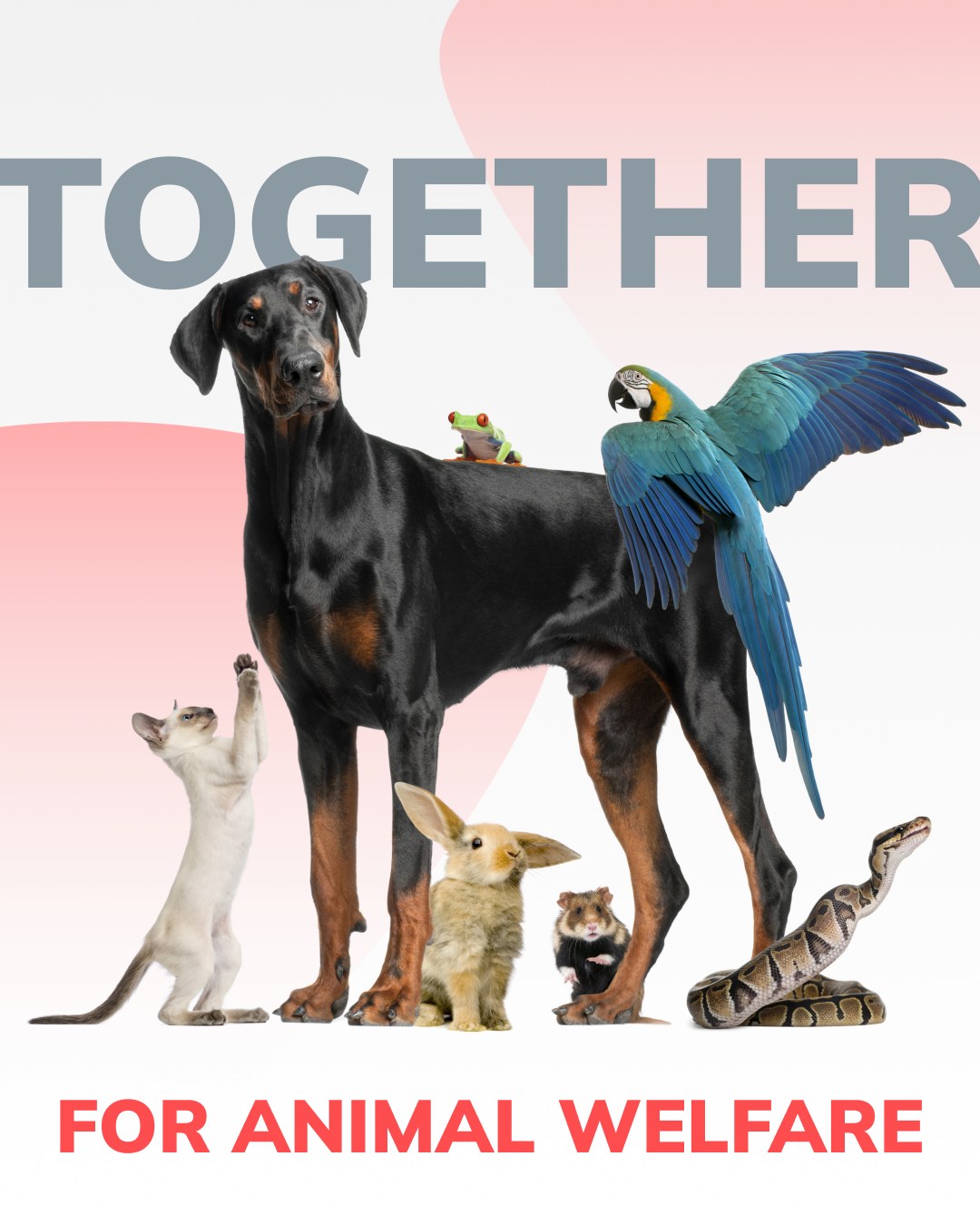 Apicenna Facebook ad: On International Animal Rights Day, we’re reminded that…