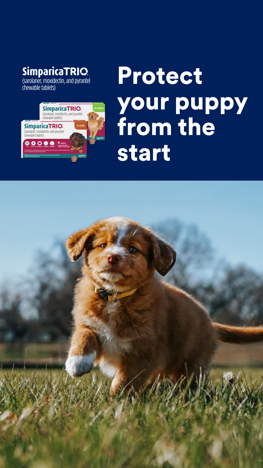 Petco Facebook ad