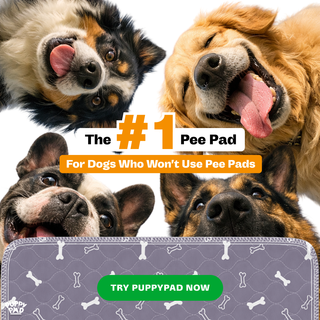 PuppyPad Facebook ad