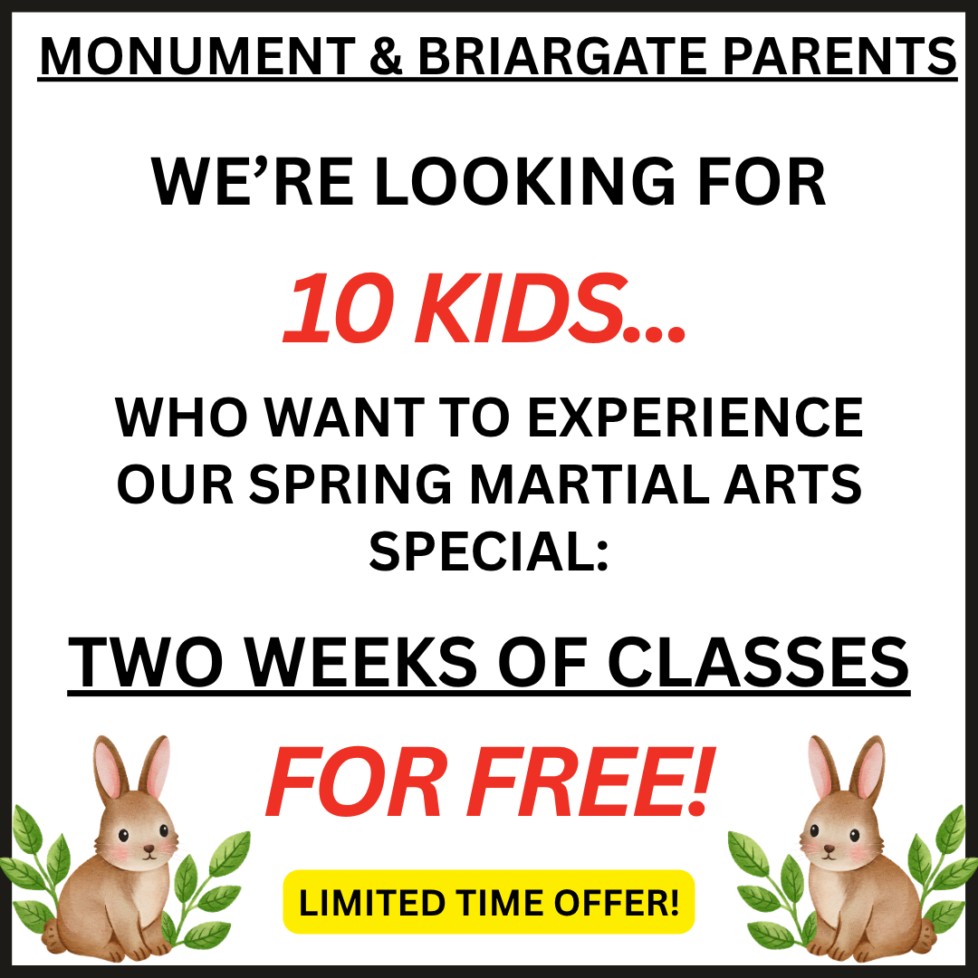 Academy of Life and Leadership Taekwondo Facebook ad
