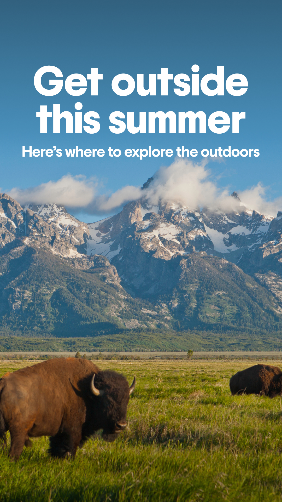 Tripadvisor Facebook ad