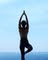 True Wellness Pro