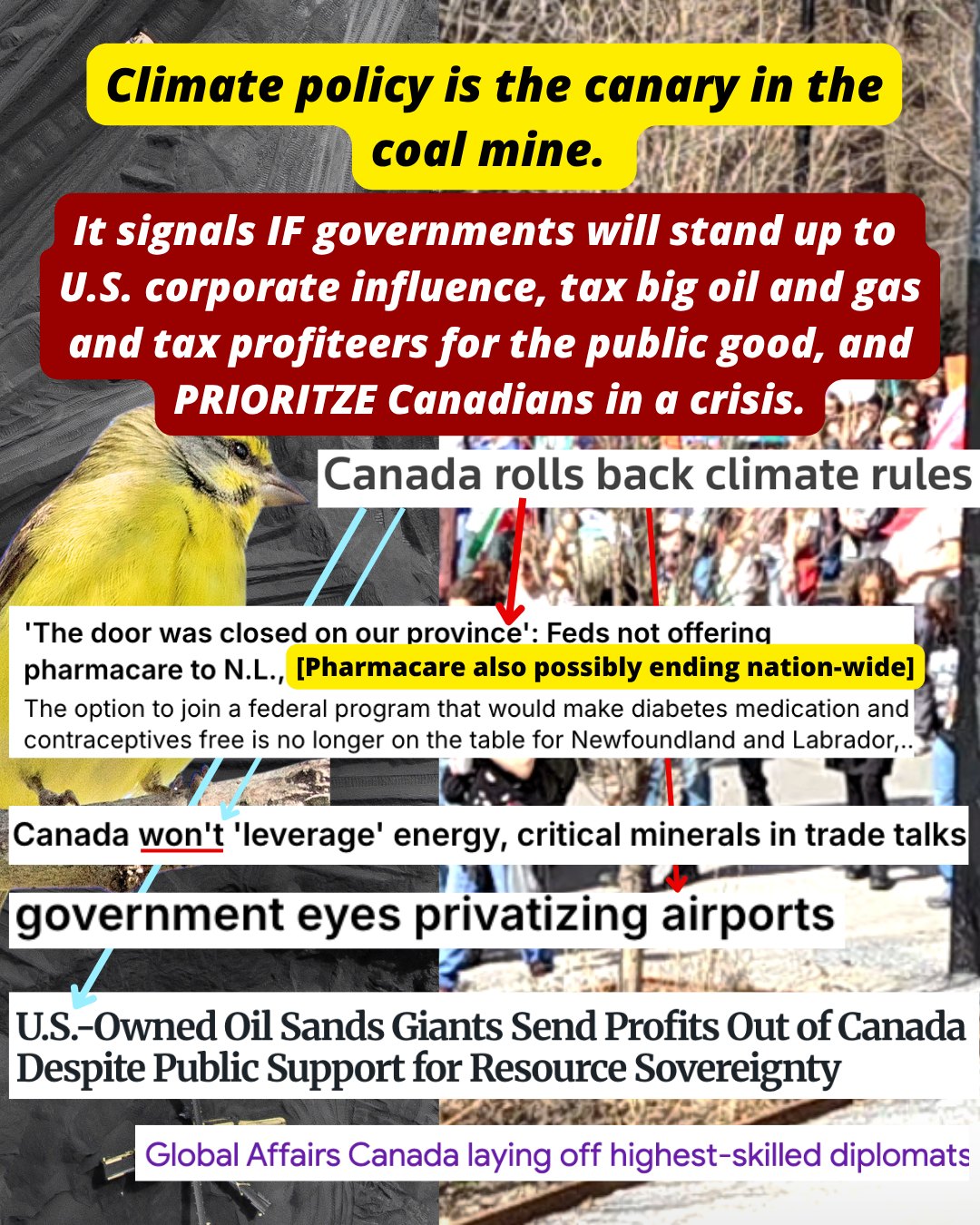 Sierra Club Canada Foundation Facebook ad