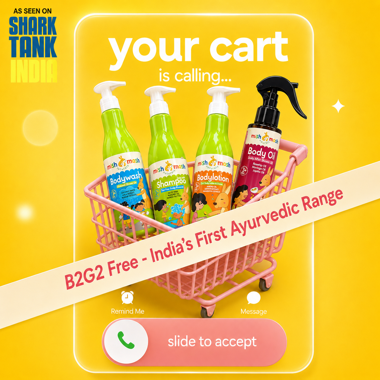 Mishmash Naturals  Facebook ad