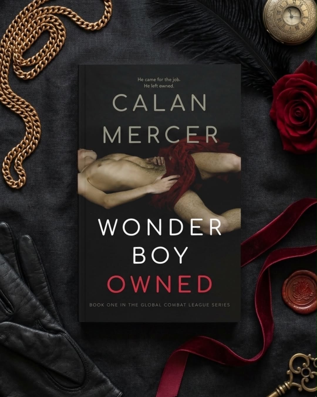 Calan Mercer - Author Facebook ad: He came for the job.