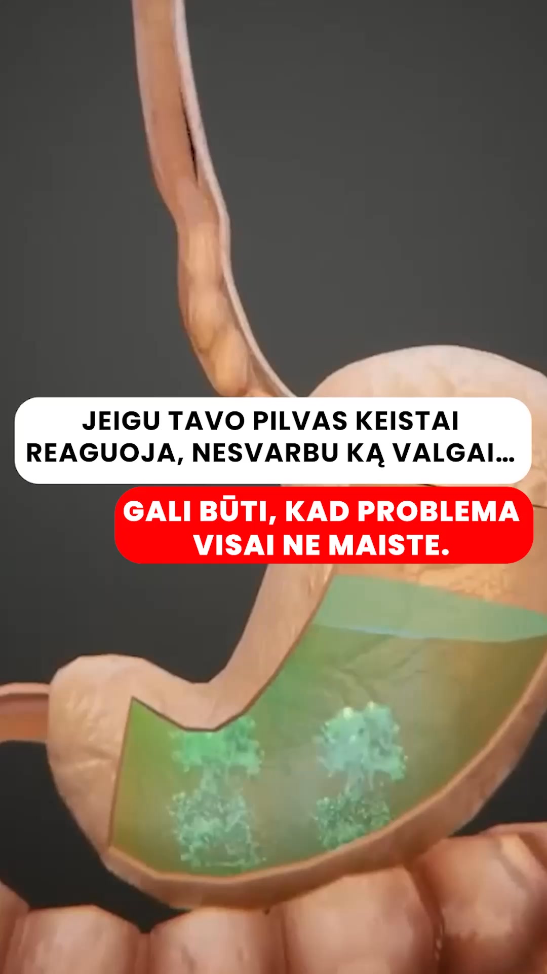 Hora Facebook ad: Skaidulos su prebiotikais, probiotikais ir postbiotikais.